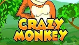 Crazy Monkey slot