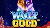 Wolf Gold slot